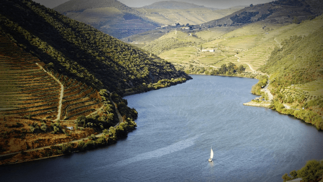 dOURO 